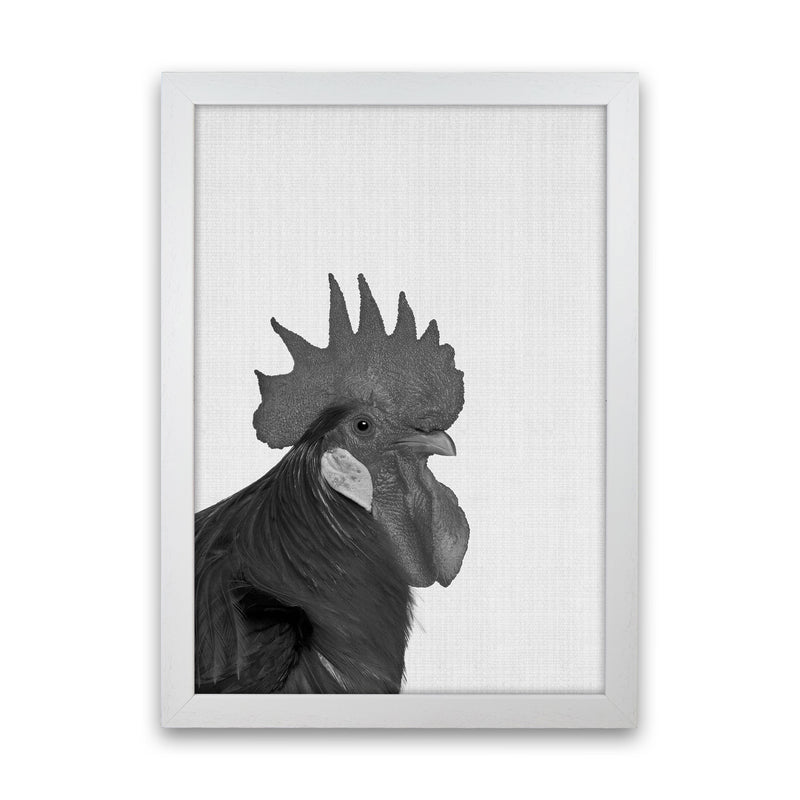 Cock A Doodle Doo Art Print by Jason Stanley White Grain
