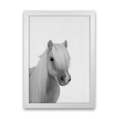 Stay Gold Pony Boy Art Print by Jason Stanley White Grain