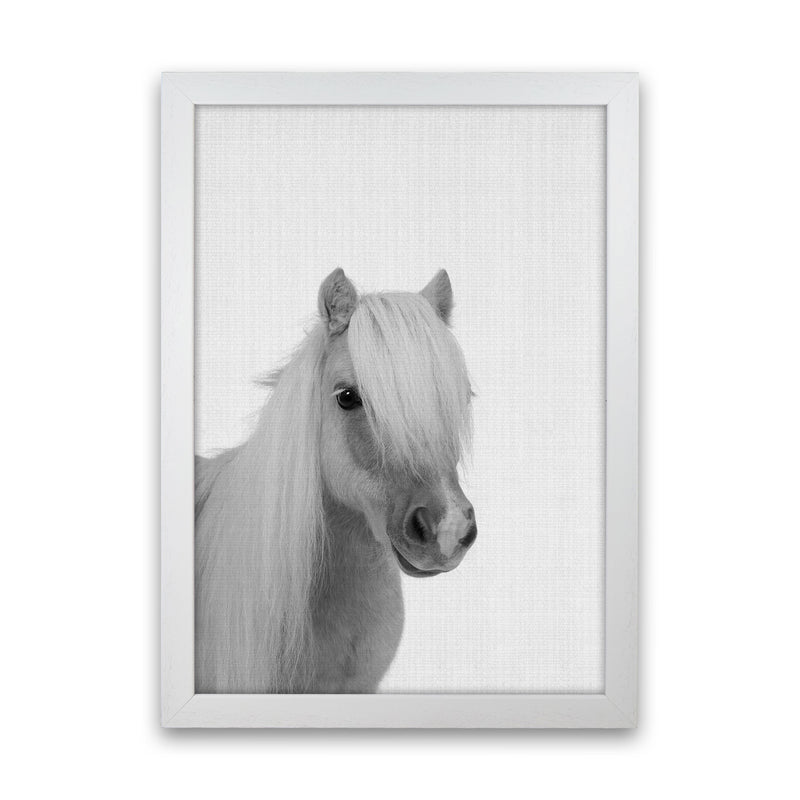 Stay Gold Pony Boy Art Print by Jason Stanley White Grain