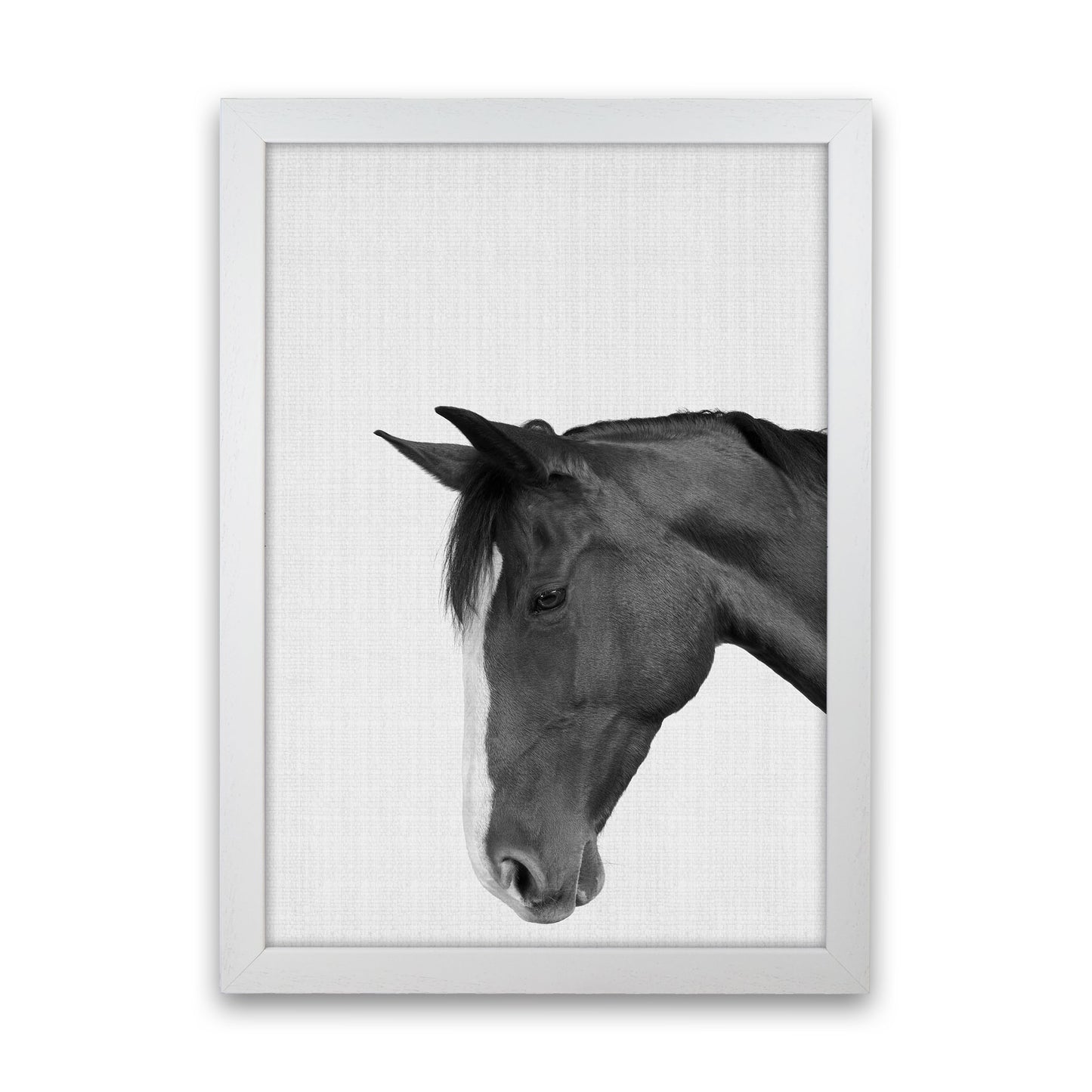 Man's Best Friend Art Print by Jason Stanley White Grain