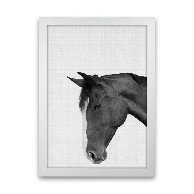 Man's Best Friend Art Print by Jason Stanley White Grain