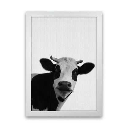 Holy Cow Art Print by Jason Stanley White Grain