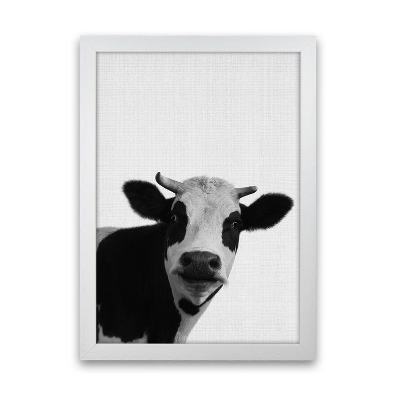 Holy Cow Art Print by Jason Stanley White Grain