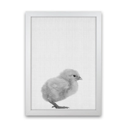 2X3_Chick Art Print by Jason Stanley White Grain
