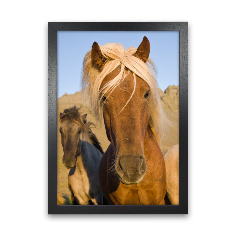 Blondie Art Print by Karsten Wrobel Black Grain