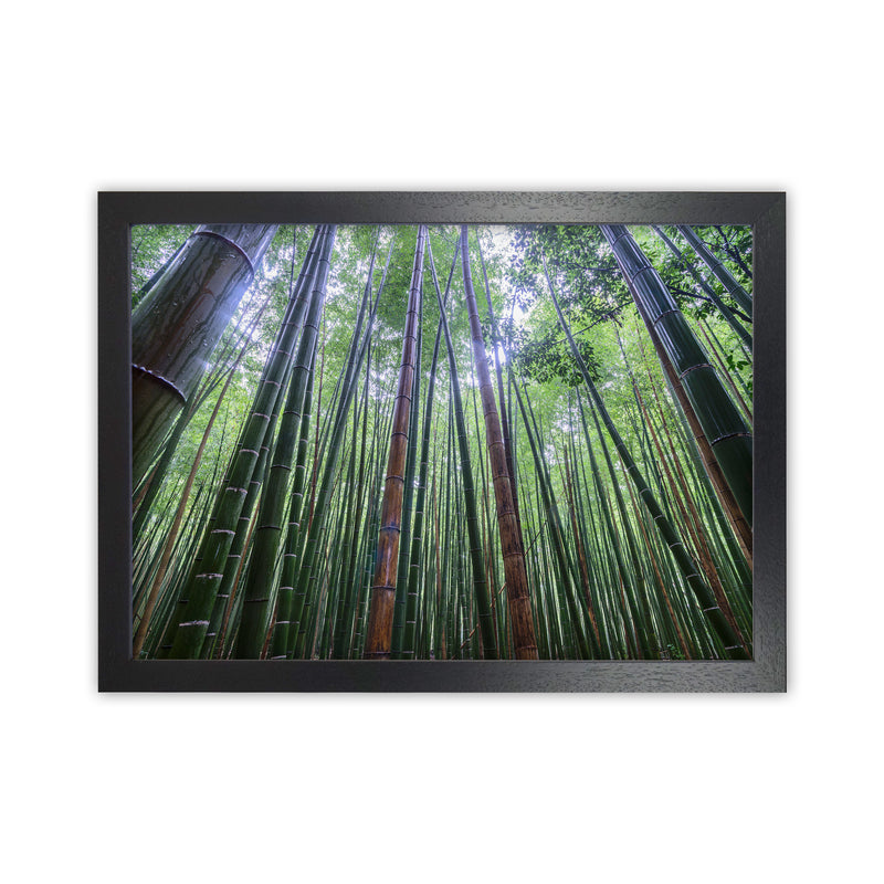 Tall Art Print by Karsten Wrobel Black Grain