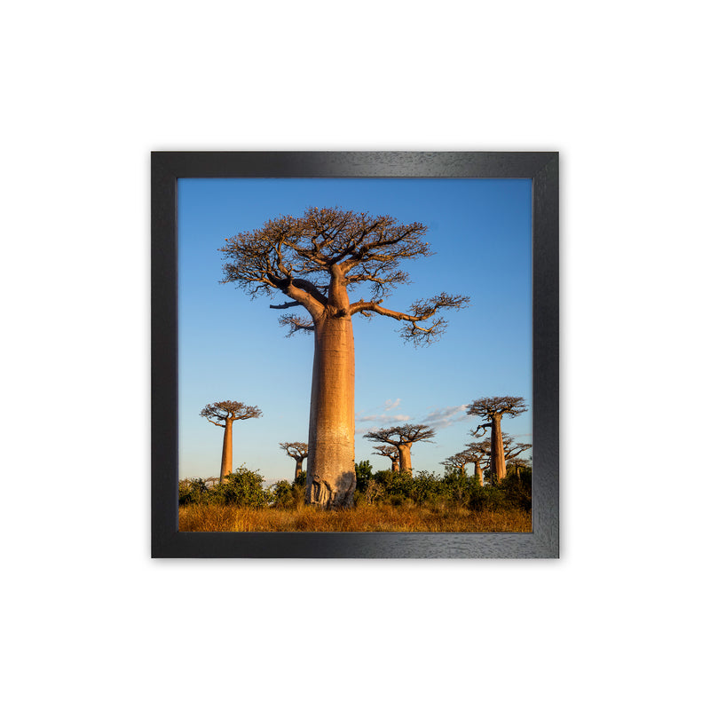 Giants Art Print by Karsten Wrobel Black Grain
