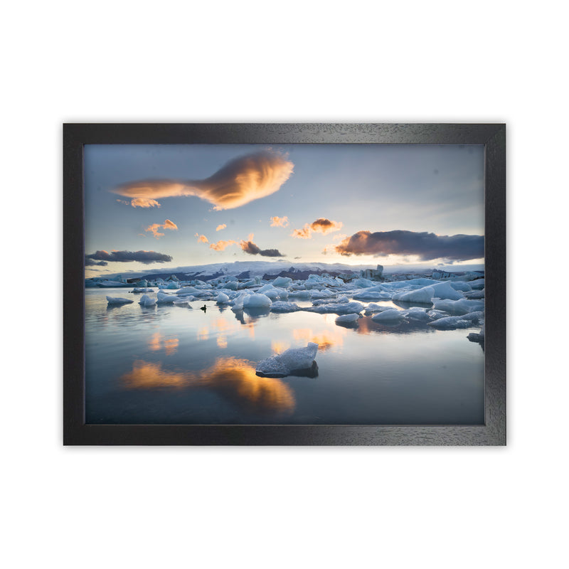 Lagoon Duck Art Print by Karsten Wrobel Black Grain
