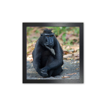 Thinker Art Print by Karsten Wrobel Black Grain
