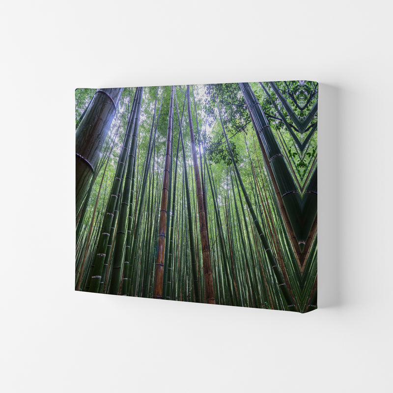 Tall Art Print by Karsten Wrobel Canvas