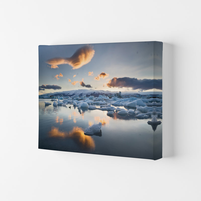 Lagoon Duck Art Print by Karsten Wrobel Canvas