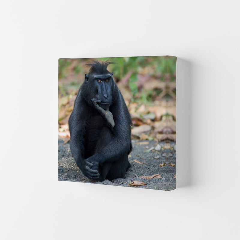 Thinker Art Print by Karsten Wrobel Canvas