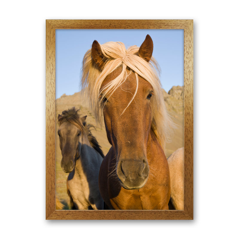 Blondie Art Print by Karsten Wrobel Oak Grain
