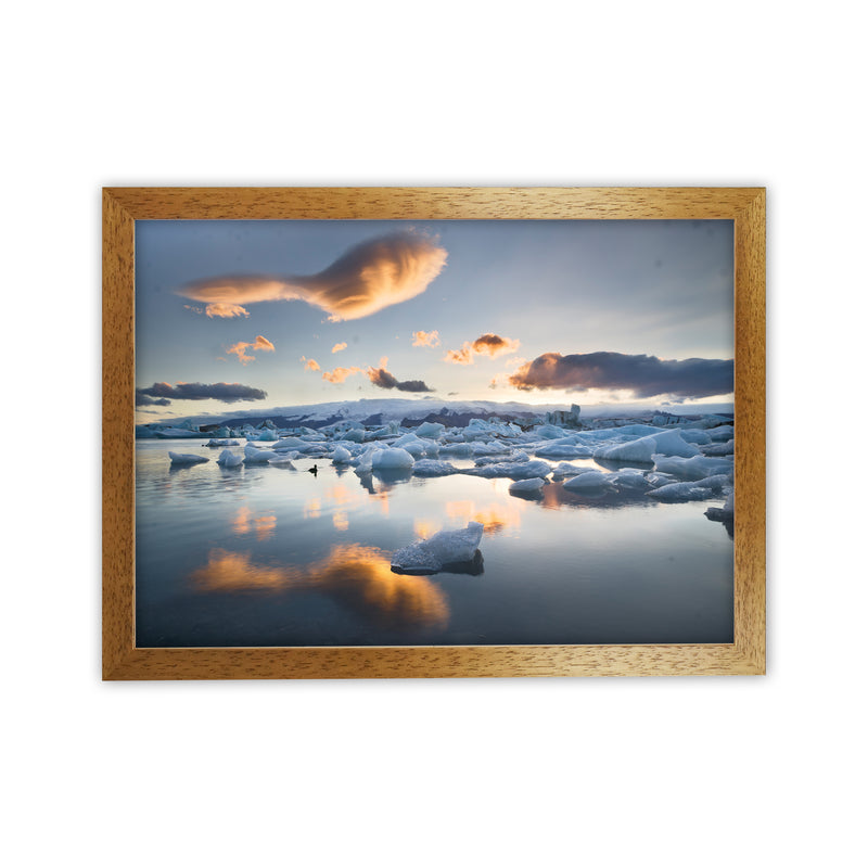 Lagoon Duck Art Print by Karsten Wrobel Oak Grain