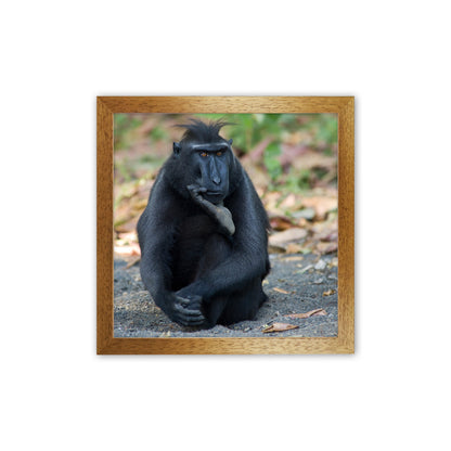 Thinker Art Print by Karsten Wrobel Oak Grain