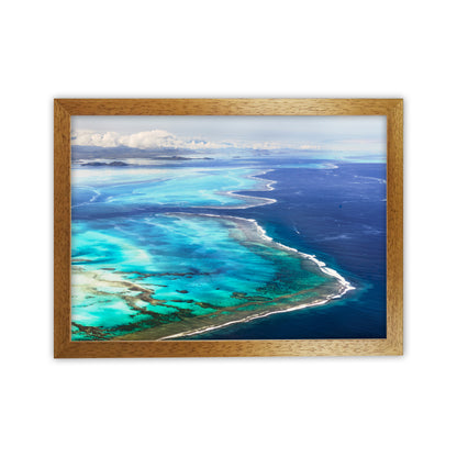 Aerial Reef Art Print by Karsten Wrobel Oak Grain