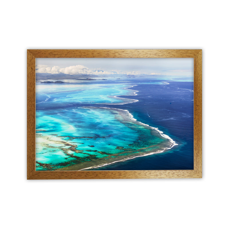 Aerial Reef Art Print by Karsten Wrobel Oak Grain
