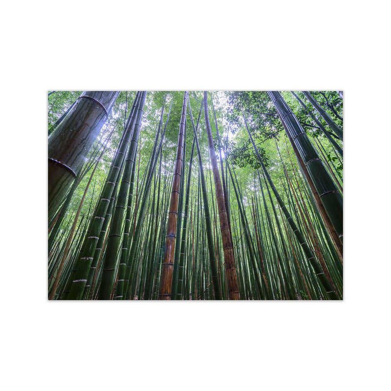 Tall Art Print by Karsten Wrobel Print Only