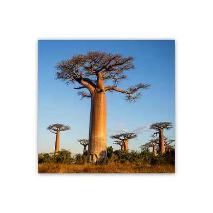 Giants Art Print by Karsten Wrobel Print Only