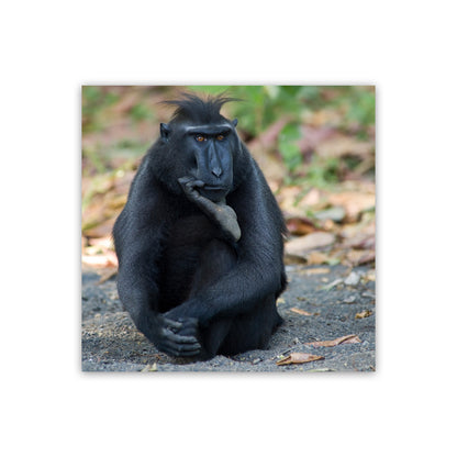 Thinker Art Print by Karsten Wrobel Print Only