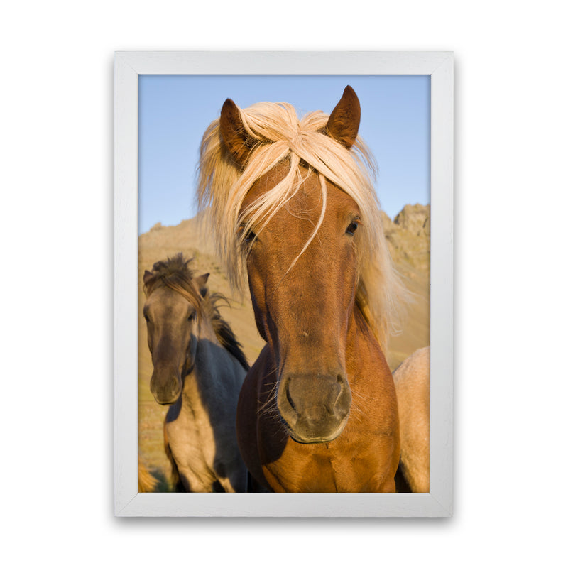 Blondie Art Print by Karsten Wrobel White Grain