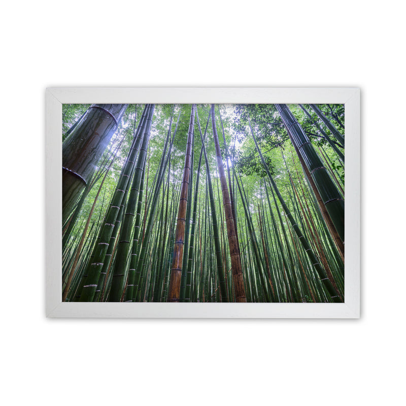 Tall Art Print by Karsten Wrobel White Grain