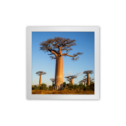 Giants Art Print by Karsten Wrobel White Grain