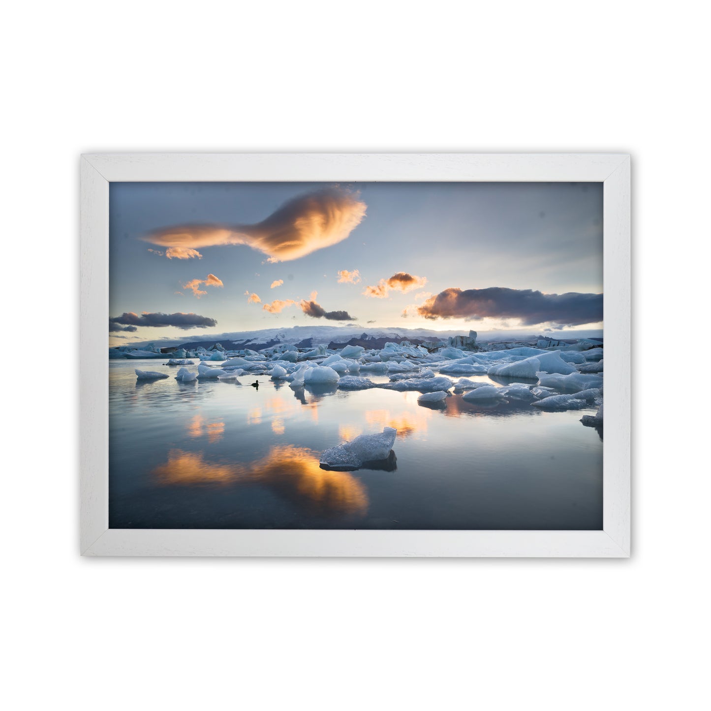 Lagoon Duck Art Print by Karsten Wrobel White Grain