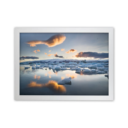 Lagoon Duck Art Print by Karsten Wrobel White Grain