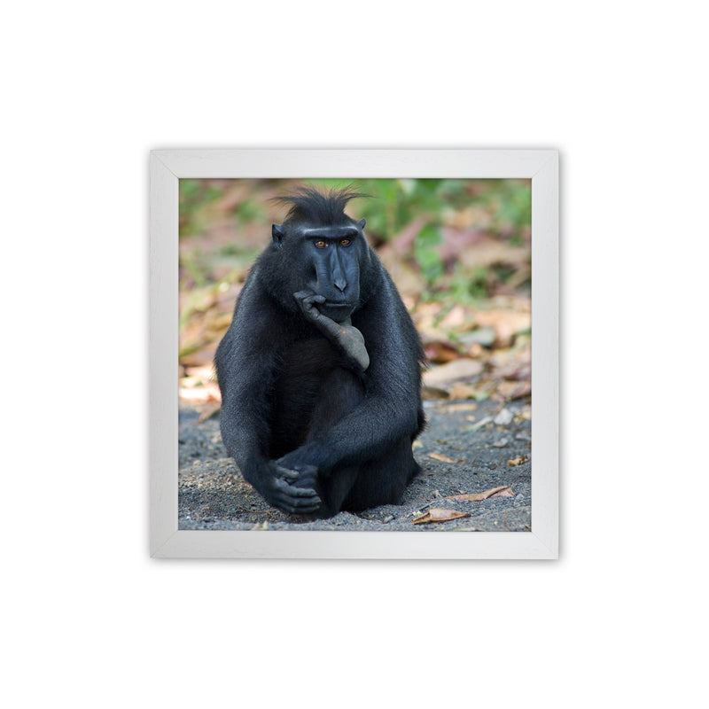 Thinker Art Print by Karsten Wrobel White Grain