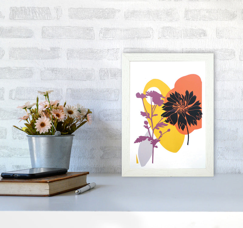 Scabiosa & Daisy Art Print by Kate Heiss A4 Oak Frame