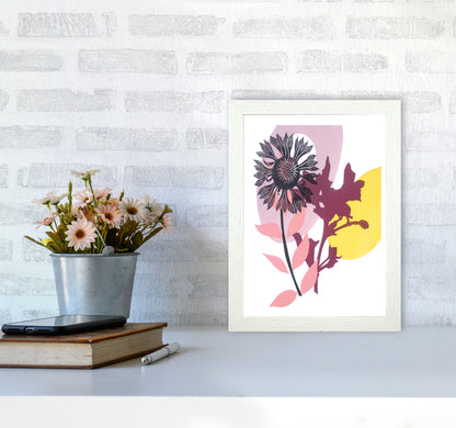 Gaillardia postcard Art Print by Kate Heiss A4 Oak Frame