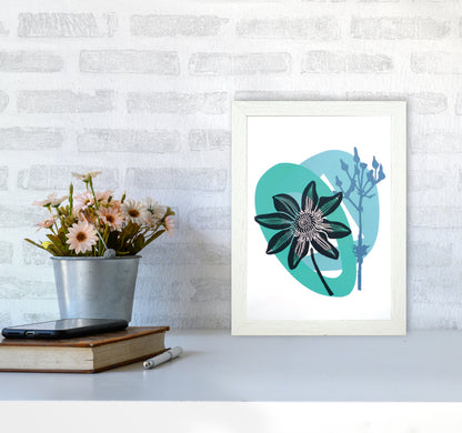 Clematis & Ragwort postcard Art Print by Kate Heiss A4 Oak Frame