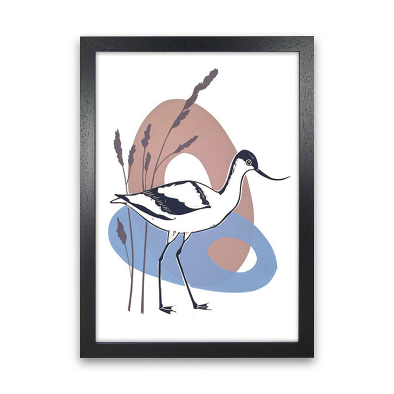Avocet At Thornham Art Print by Kate Heiss Black Grain