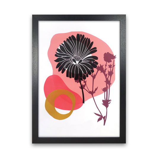 Calendula Officinalis postcard Art Print by Kate Heiss Black Grain