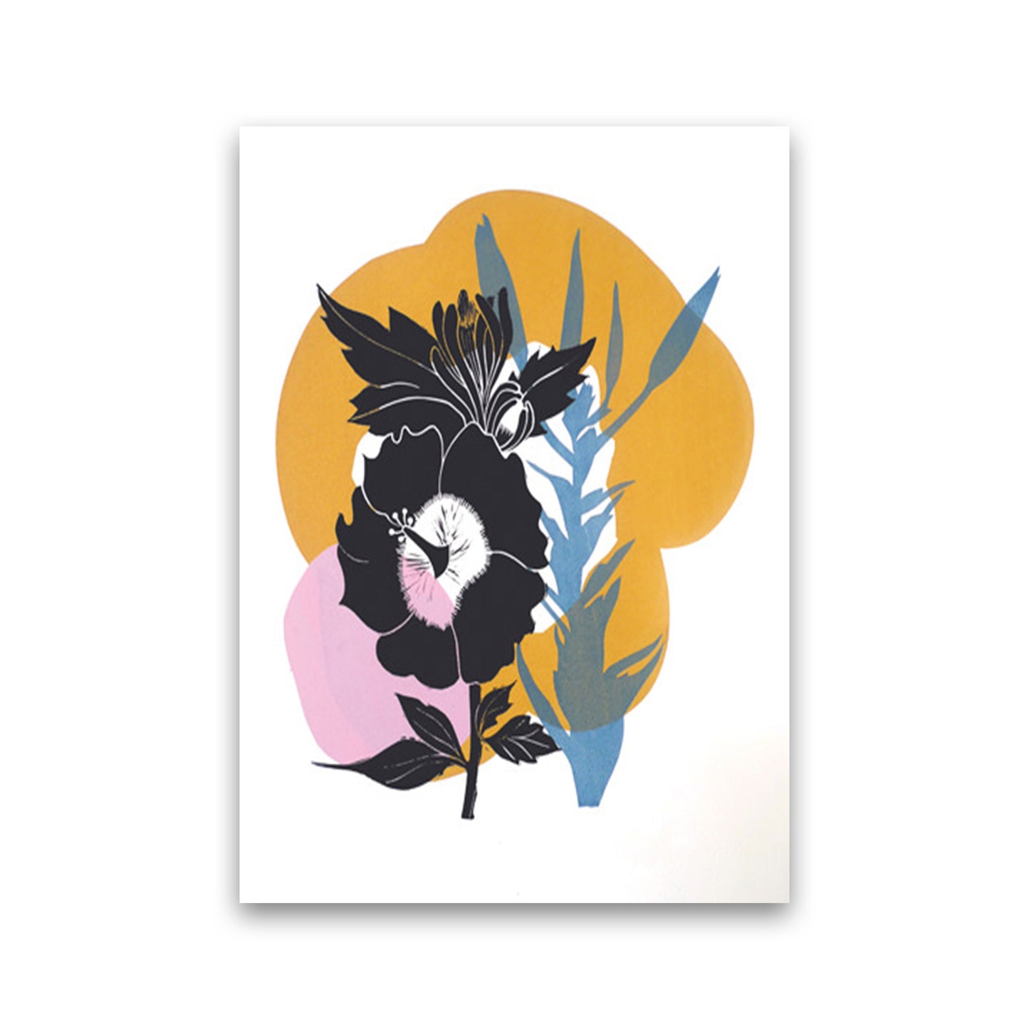 Hibiscus Art Print by Kate Heiss Print Only