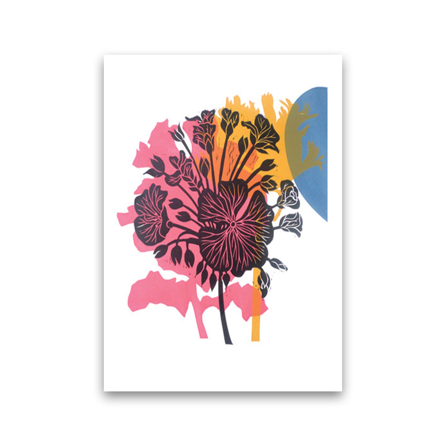 Geranium Art Print by Kate Heiss Print Only