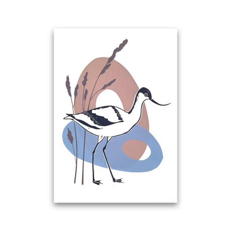 Avocet At Thornham Art Print by Kate Heiss Print Only