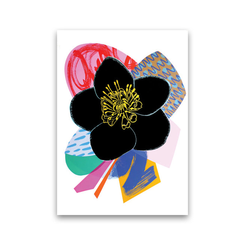 Hellebore 2 Series 1 Art Print by Kate Heiss Print Only