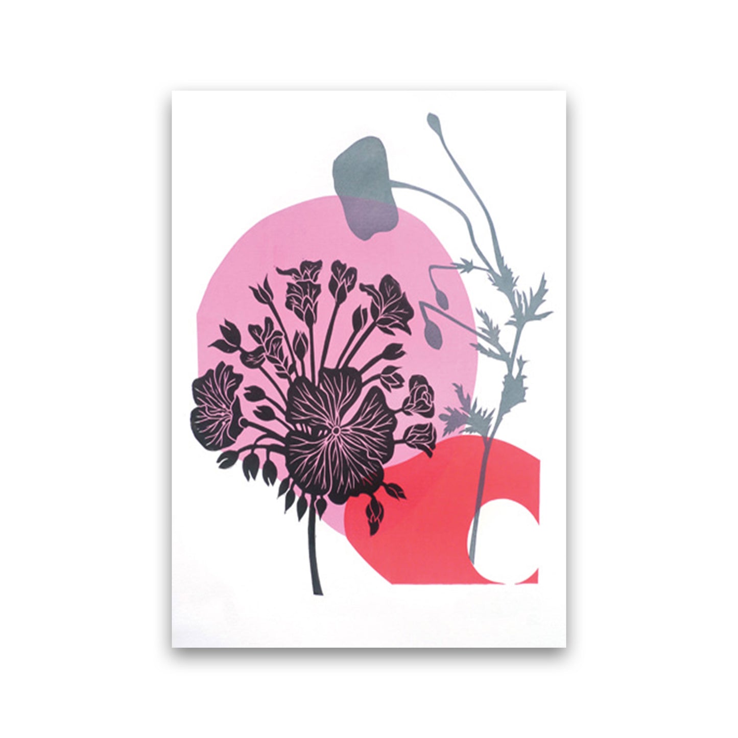 Geranium & Poppy Art Print by Kate Heiss Print Only