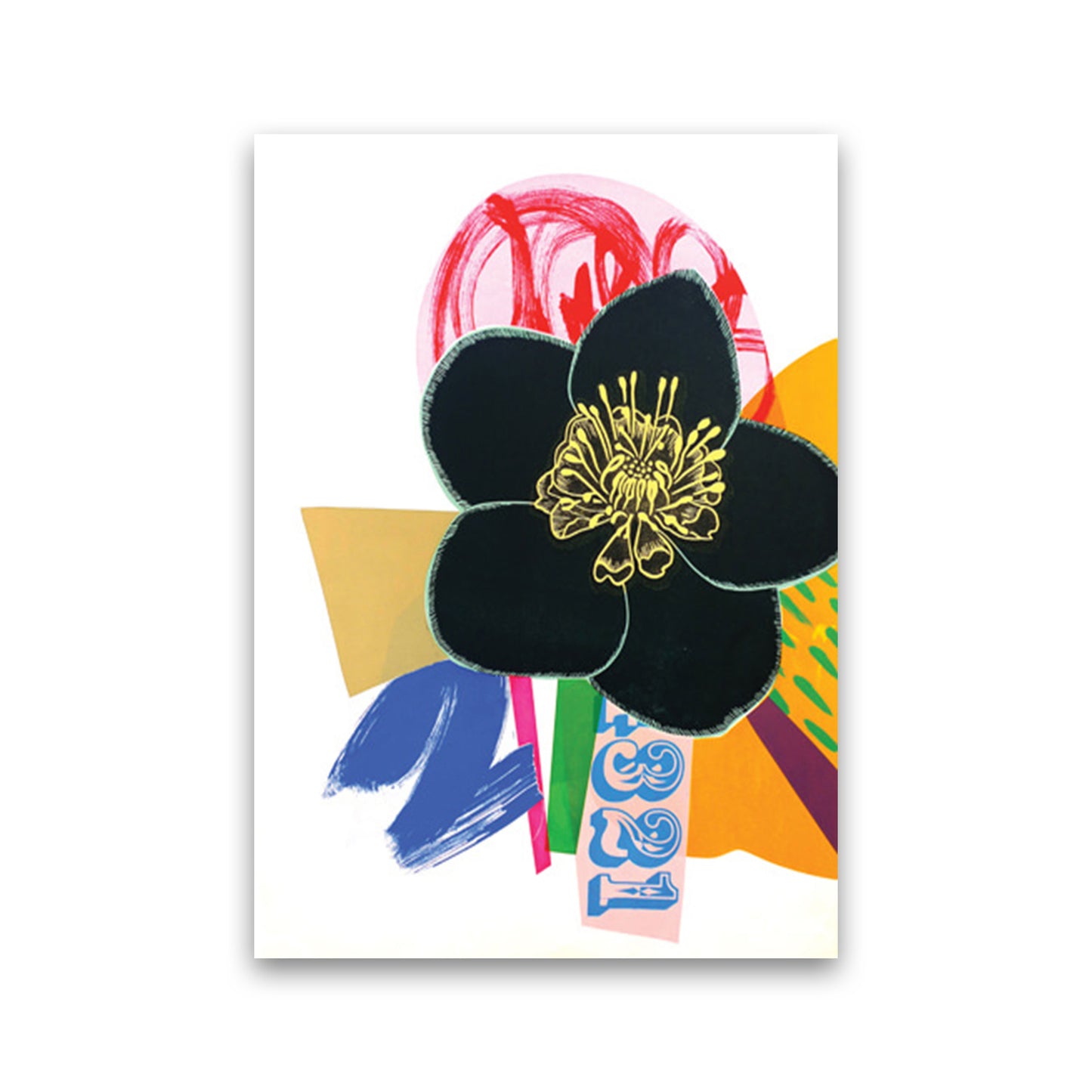 Hellebore 1 Series 1 Art Print by Kate Heiss Print Only