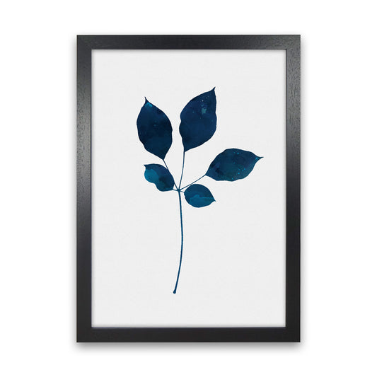 Foliage No 2 Botanical Art Print by Kookiepixel Black Grain
