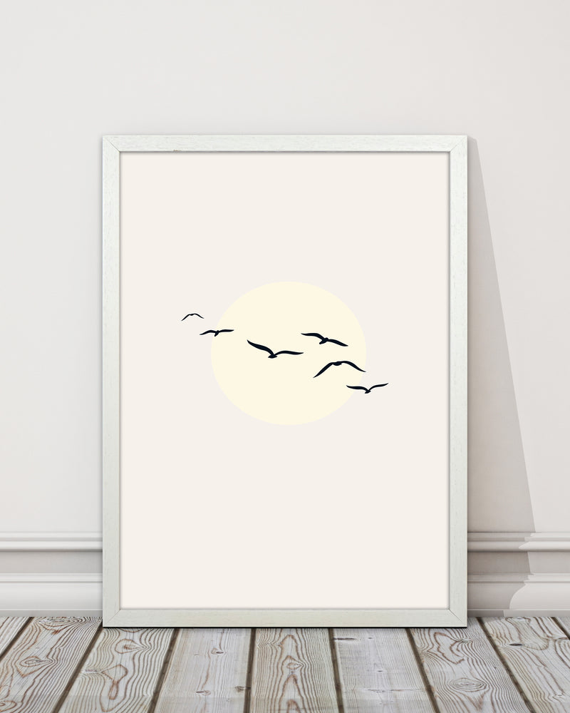 Adorable Skies
