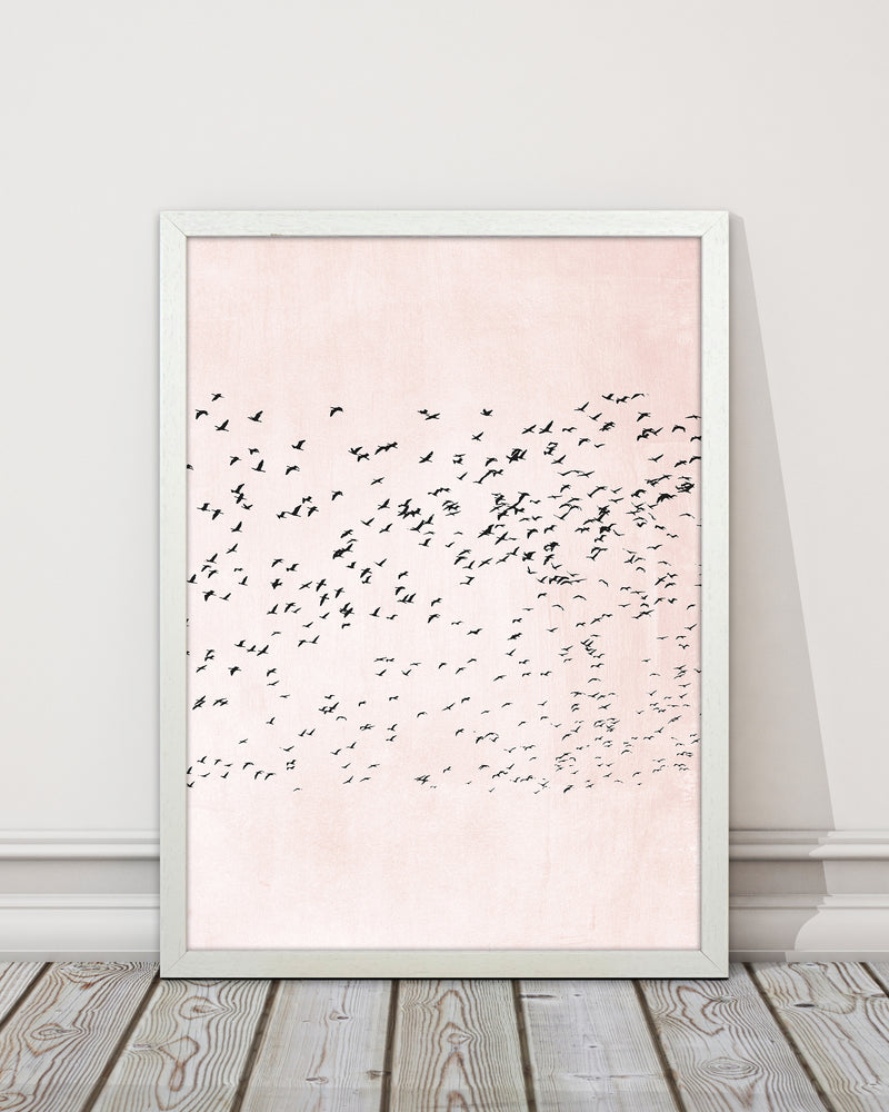 500 Seagulls