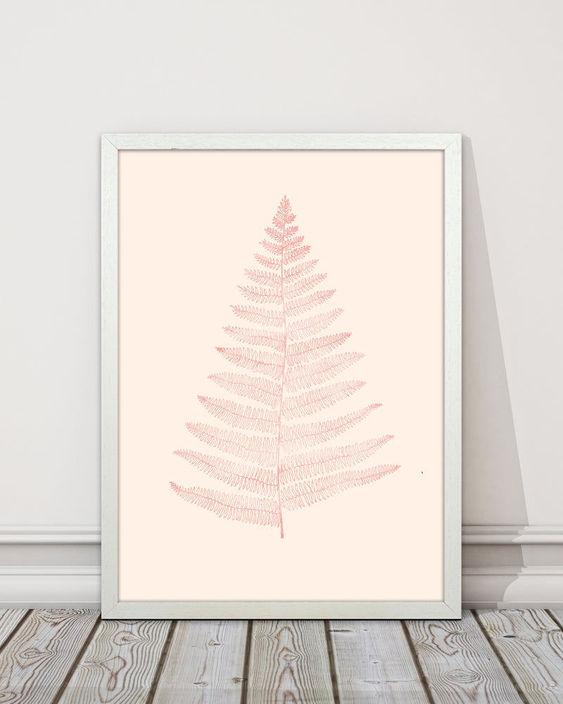 Botanica Minimalistica - ROUGE