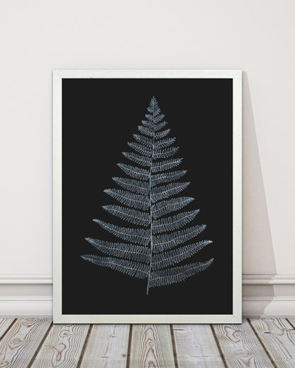 Botanica Minimalistica - BLEU