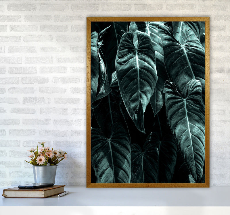 The Jungle Photography Art Print by Kubistika A1 Print Only