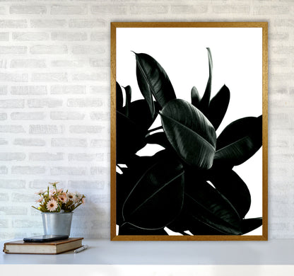 Dark Tree Photography Art Print by Kubistika A1 Print Only