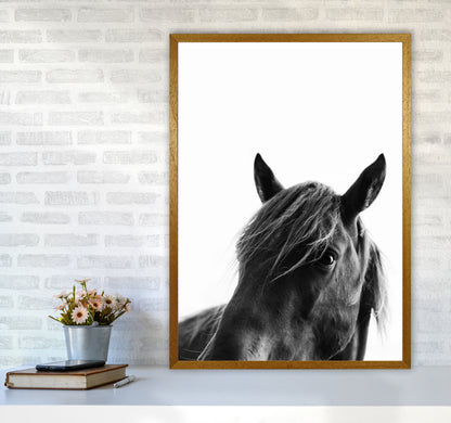 Black Beauty Photography Art Print by Kubistika A1 Print Only