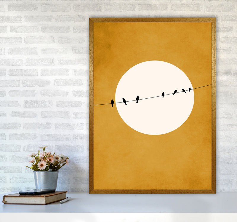 Chirping And Chilling (At Night) Art Print by Kubistika A1 Print Only